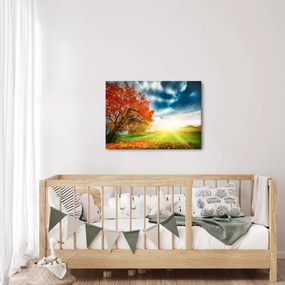 Obraz krajiny zaliate slnečným svitom (70x50 cm)