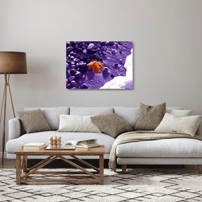 Sklenený obraz - Morská pláž (70x50 cm)