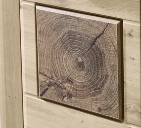 Predsieňová šatníková skriňa Tira, dub artisan