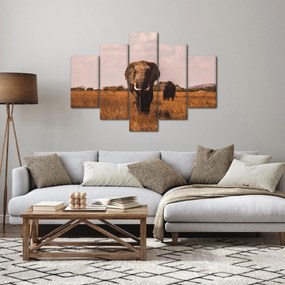 Obraz - Príchod slona (150x105 cm)