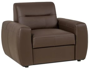 Kožené kreslo FELIS, hnedá