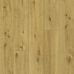 Vinylová podlaha SPC Ceramin All About Eco Dub Baltic 65006 4mm 23/34