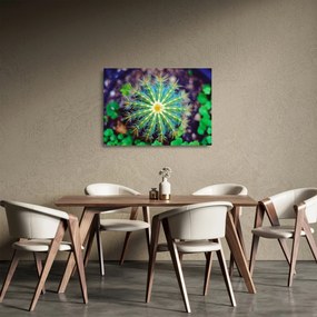 Sklenený obraz kaktusu (70x50 cm)