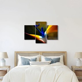 Obraz - Exotický kvet (90x60 cm)