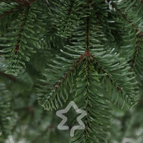 Jedľa Kaukazská 100% 150 cm