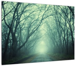 Sklenený obraz - Cesta s alejou stromov (70x50 cm)