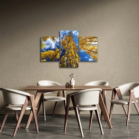 Obraz - Aspen (90x60 cm)