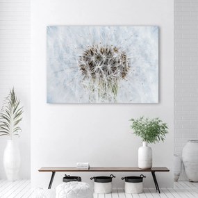 Obraz na plátně, Bílý květinový pampelišk - 120x80 cm