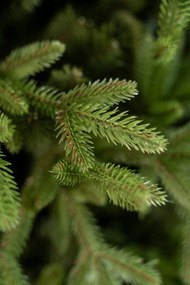 Umelý 3D vianočný stromček- Jedľa exclusive 170 cm