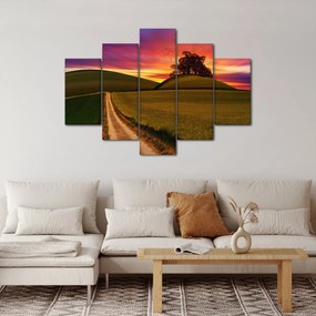 Obraz poľa a farebného neba (150x105 cm)
