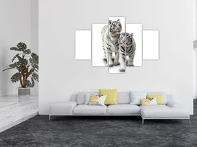 Obraz - Biely tiger (150x105 cm)