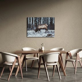 Obraz - jeleň v zime (70x50 cm)