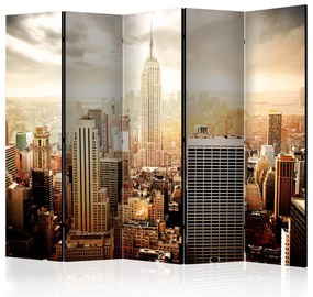 Artgeist Paraván - Uncombed by wind  [Room Dividers]