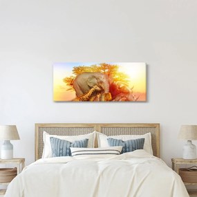 Obraz afrických zvieratiek (120x50 cm)