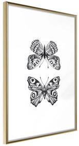 Artgeist Plagát - Two Butterflies [Poster] Veľkosť: 20x30, Verzia: Zlatý rám