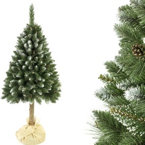 Vianočný stromček Borovica diamantová so šiškou na pníku 220 cm