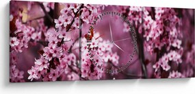 Obraz - Ružová sakura (s hodinami) (90x30 cm)
