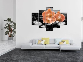 Obraz - Oranžové orchidey (150x105 cm)