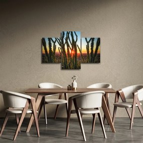 Obraz - Rastliny (90x60 cm)