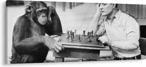 Obraz - Cirkus 2 (120x50 cm)