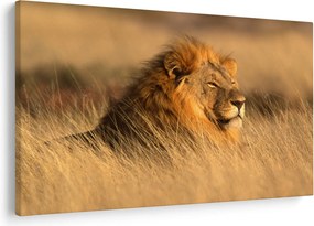 Obraz - Národný park Etosha (90x60 cm)