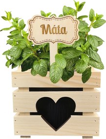 AMADEA Drevený zápich - ceduľka na bylinky Mäta, výška 20 cm, český výrobok