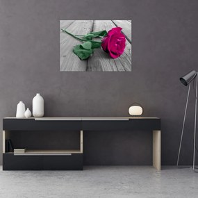 Obraz - Ružová ruža so zelenou stonkou (70x50 cm)