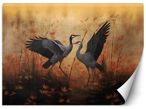 Fototapeta, Jeřáb Příroda Ptáci - 150x105 cm