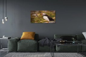 Obraz na plátne Papagáj 140x70 cm