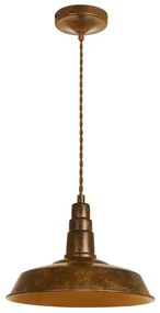 Palnas 62001555 - Luster na lanku VESNA 1xE27/60W/230V