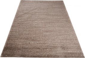 TA Koberec T006A SVETLOHNEDÉ SÁRÍ Rozmer: 220x320 cm