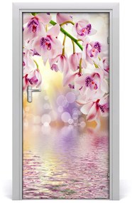 Fototapeta samolepiace orchidea 85x205 cm