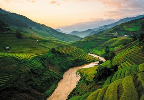 Fototapeta - Ryžové pole Mu Cang Chai (147x102 cm)