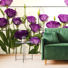Samolepiaca fototapeta nádherné fialové kvety - 300x200