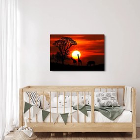 Obraz - Siluety zvierat pri západe slnka (90x60 cm)