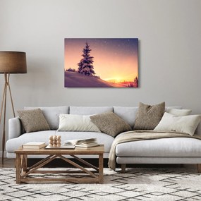 Obraz zasneženého stromu na lúke (90x60 cm)