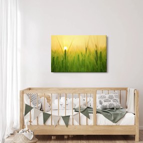Obraz - Pole s obilím (90x60 cm)