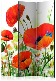 Artgeist Paraván - Country poppies [Room Dividers]
