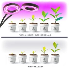 LED stolná lampa s klipom pre pestovanie VITARO 2xLED/4W/230V čierna