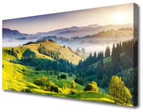 Obraz na plátne Hora pole hmla príroda 100x50 cm