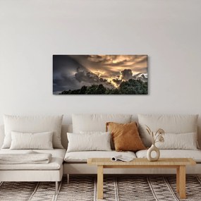 Obraz mračien a lesa (120x50 cm)