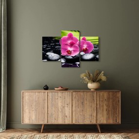 Obraz - Ružové orchidey s palmovým listom (90x60 cm)