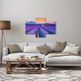 Obraz - Levanduľové pole (90x60 cm)