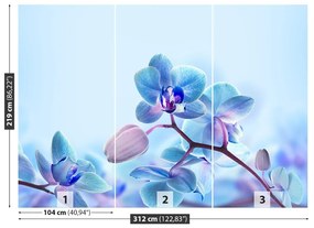 Fototapeta Vliesová Tropické orchidey 208x146 cm