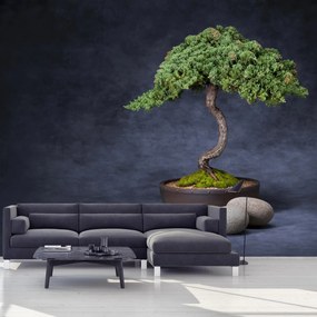 Fototapeta - Bonsai (147x102 cm)