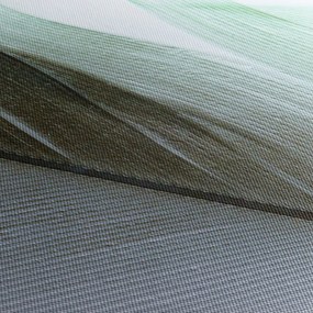 Obraz - Perie, makro (120x50 cm)