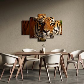 Obraz tigra (150x105 cm)