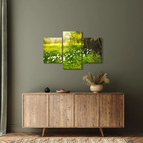 Obraz paseky a kvetín (90x60 cm)