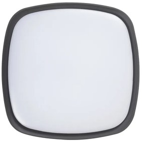 Rabalux 8797 - LED Vonkajšie stropné svietidlo AUSTIN LED/20W/230V IP65