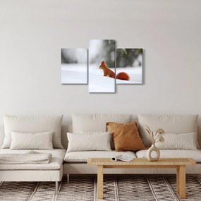 Obraz veveričky (90x60 cm)